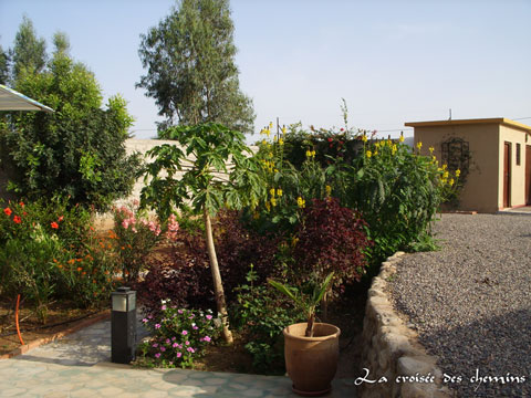 Photo du jardin du Riad au Maroc